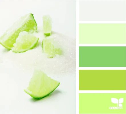 Design Seeds color swatches