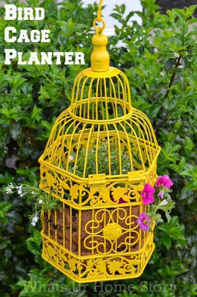 Bird-Cage-Planter-682x1024