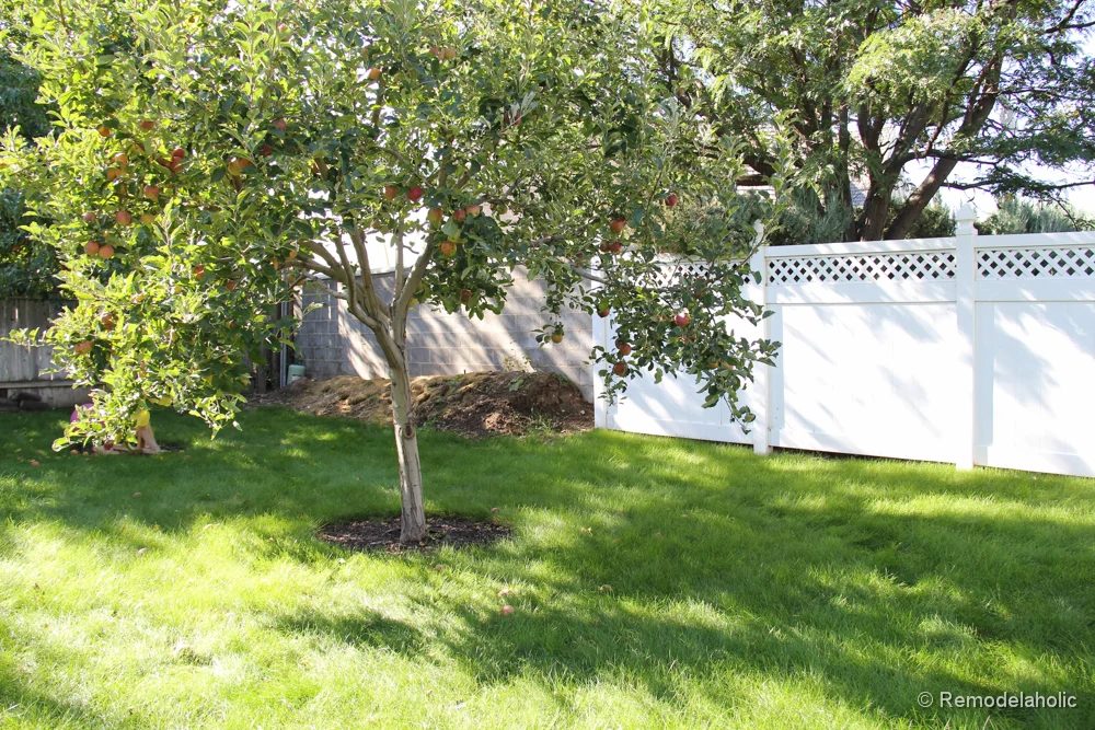 Painting a Cinder block fence @Bekob (2 of 23)