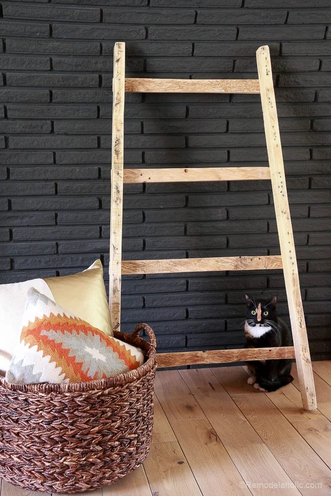 free-pallet-blanket-ladder-handmade-walkthrough-also-great-for-storing-shoes-Bekob-9157