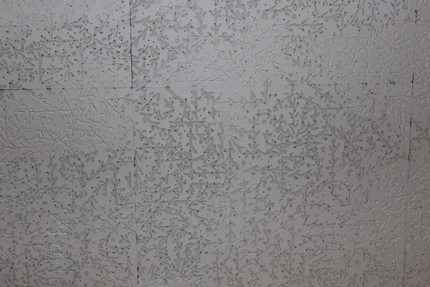 Ceiling Tile Before by Maple Leaves and Sycamore Trees on Bekob