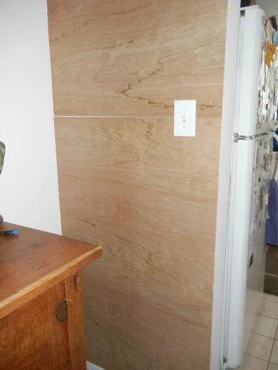 Penny accent wall (1)