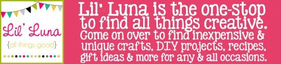 bloggers lil luna