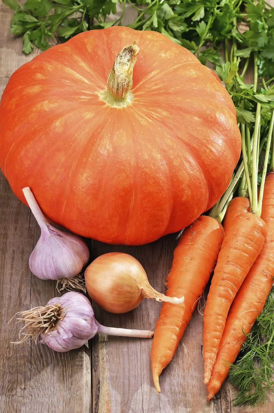 What to Plant in October