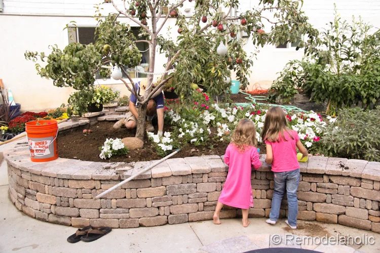 planting fall flowers-2
