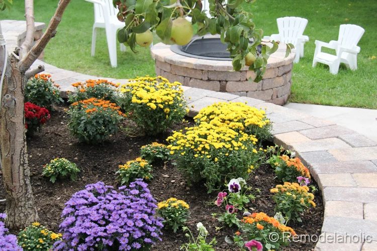 planting fall flowers-15