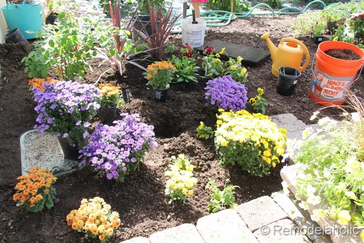 planting fall flowers