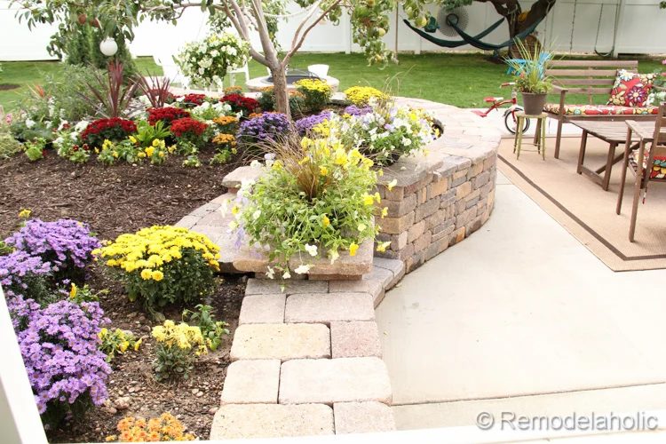 planting fall flowers-23