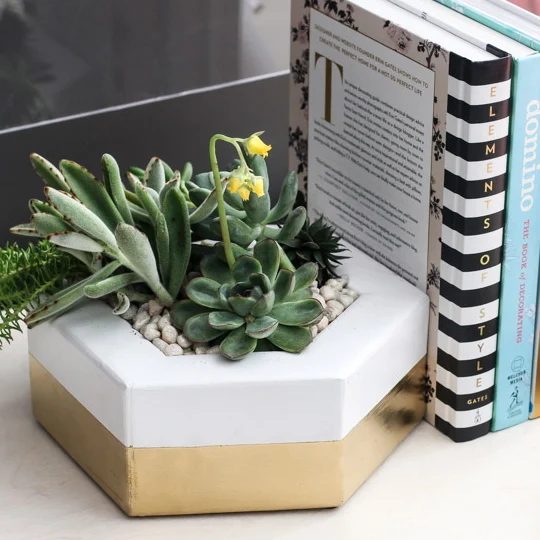 Handmade Projects, White And Gold Pot With Succulents On Bookshelf