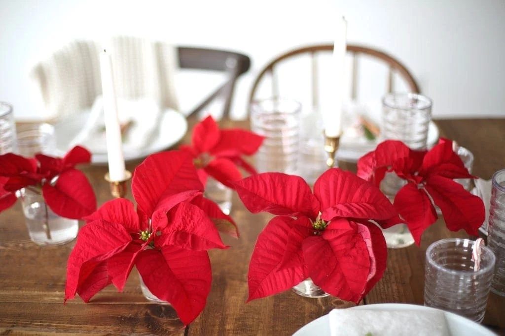 Poinsettia Flower Table Centerpiece Julie Blannerrecipe