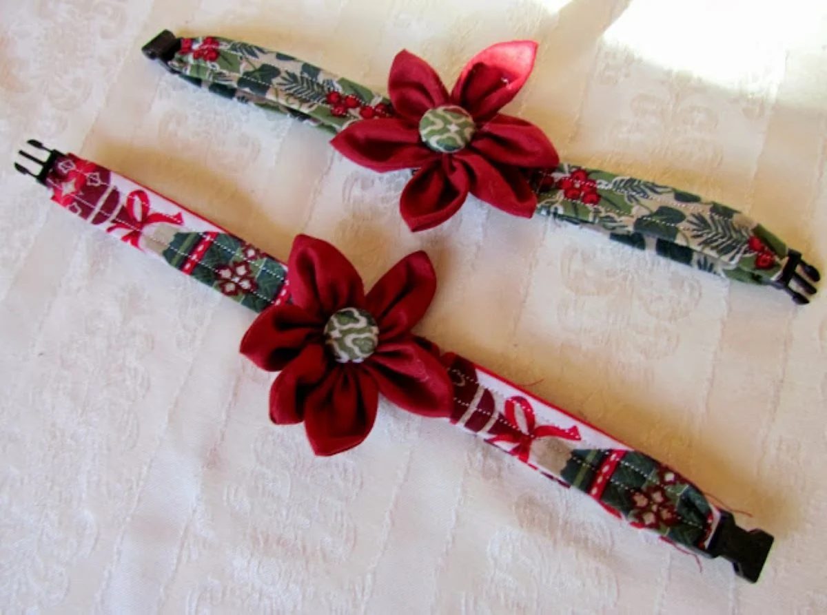 Poinsettia Pet Collar Growing Puppies