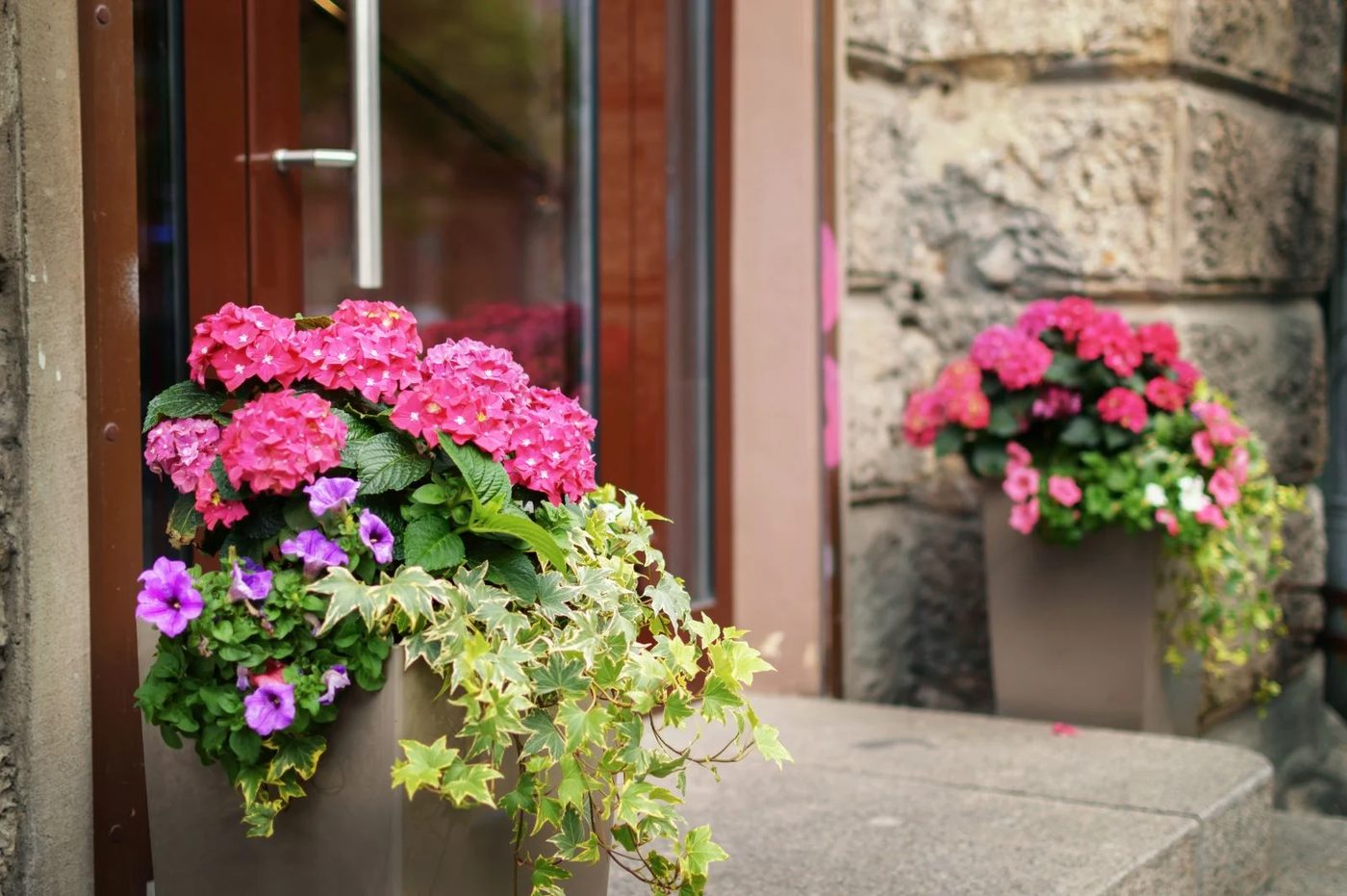 Porch Flower