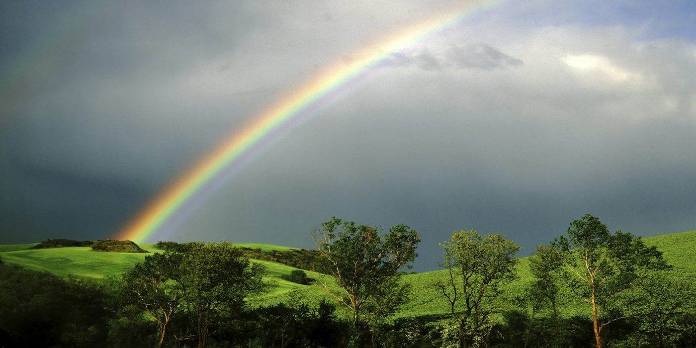 Your Very Own Pot of Gold!