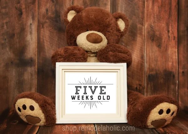Printable Baby Milestone Cards For straightforward Monthly Baby Photos Starburst Design Bekob
