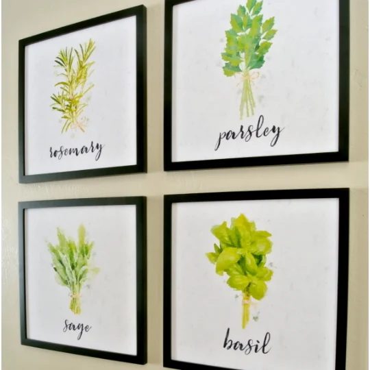 Green Wall Art for the Kitchen: Painted Herbs Framed Wall Collage In Black Frame And White Background