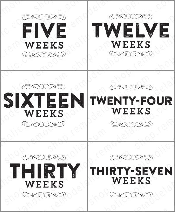Printable Pregnancy Milestone Cards For Weekly Photo Shoot, Bekob
