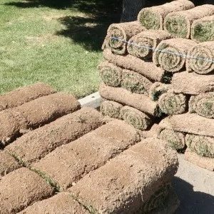 Pro Tips for Handmade Sod Installation