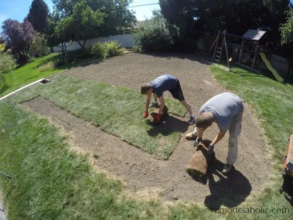 Unrolling Sod Pieces #Bekob How To Lay Sod Yourself