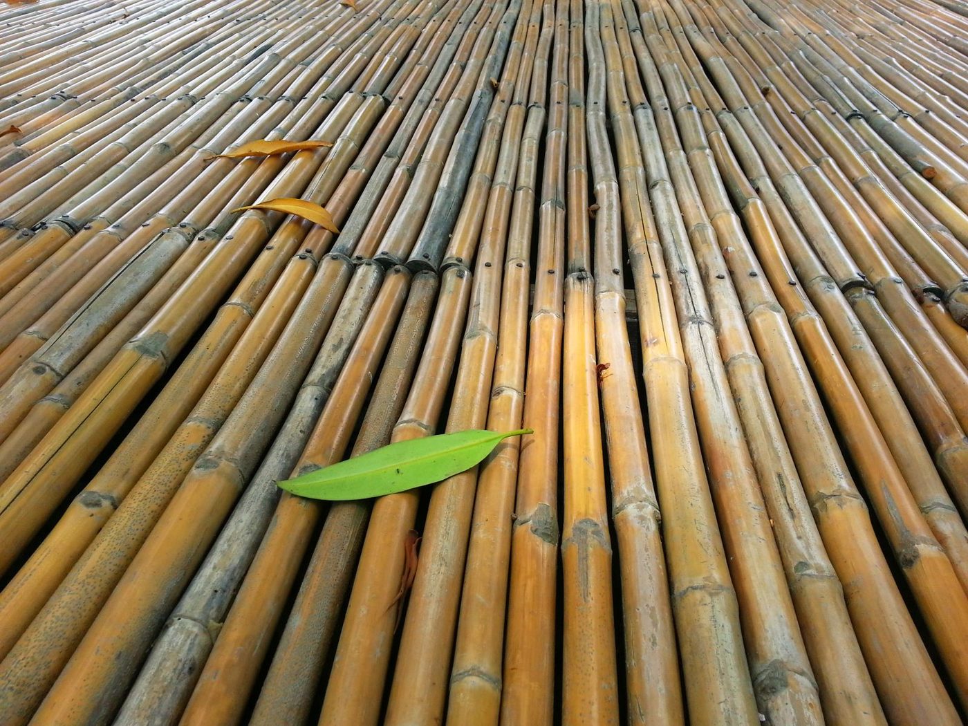 Bamboo Floor