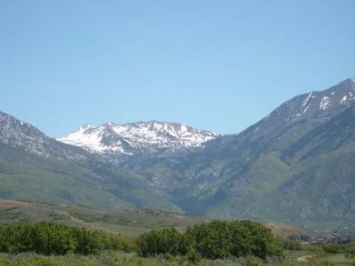 Purple Mountain Majesty