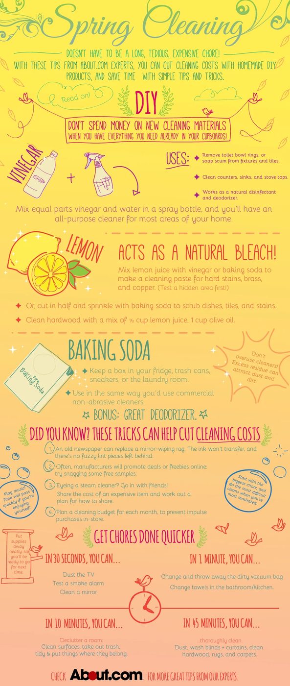 Spring Cleaning Infographic