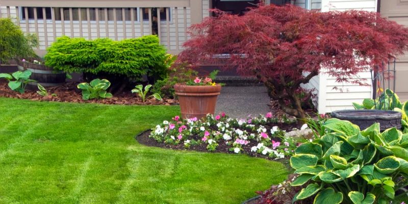 Quick & straightforward Handmade Curb Appeal Fixes