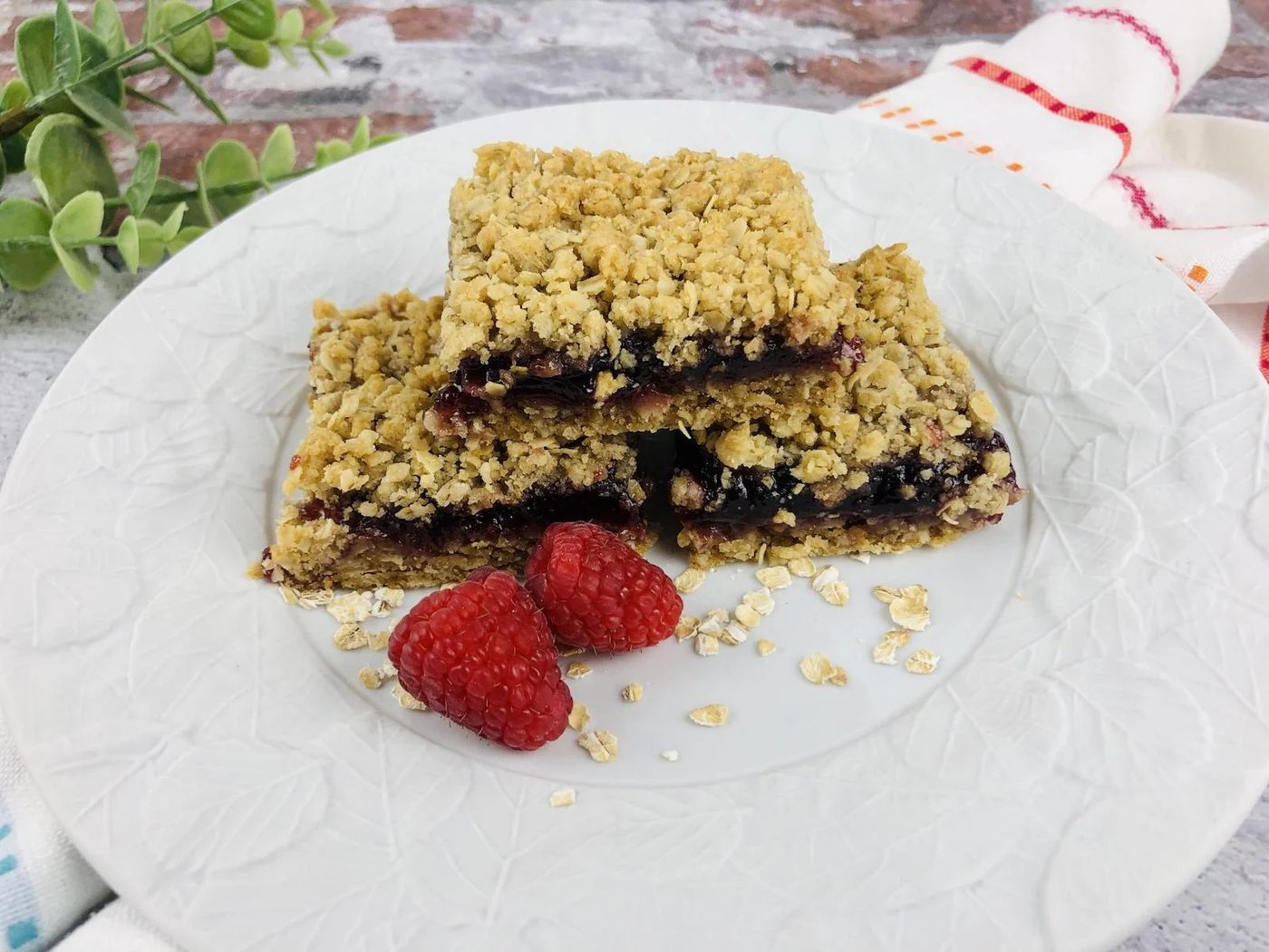 Raspberry Oatmeal Bar