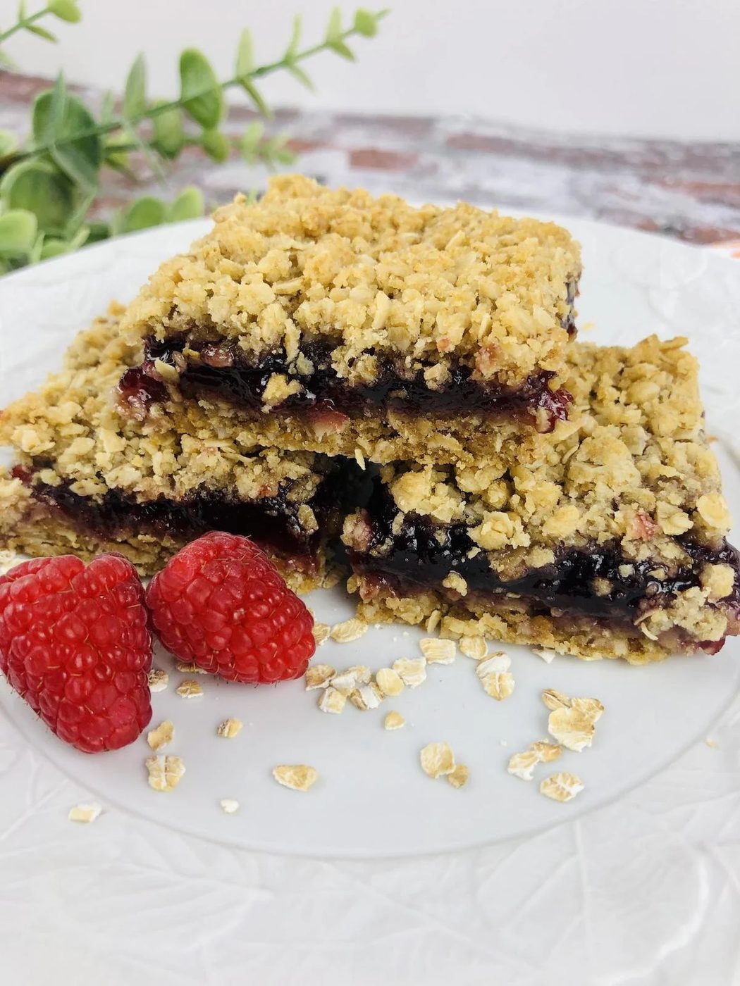 Raspberry Oatmeal Bar 3