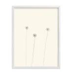 Modern Country Dandelion Print