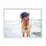 Modern Country Horse Print