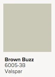 Valspar Brown Buzz