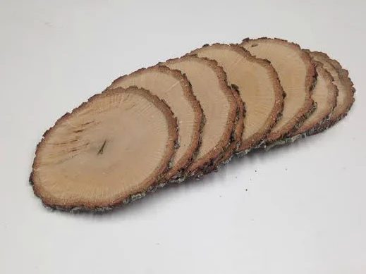 wood slices