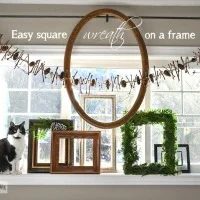 evergreen-frame-04902