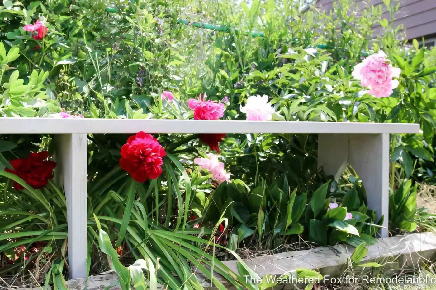 8 straightforward Farmhouse Bench From Inexpensive Lumber Bekob The Weathered Fox 4 055759