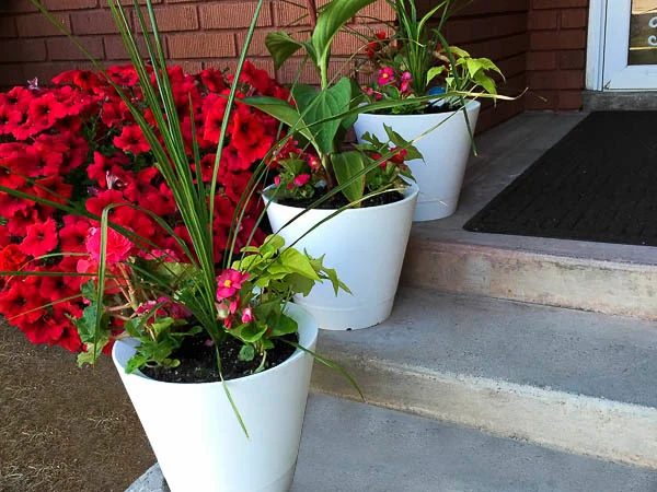 Self Watering Nimbus Pots
