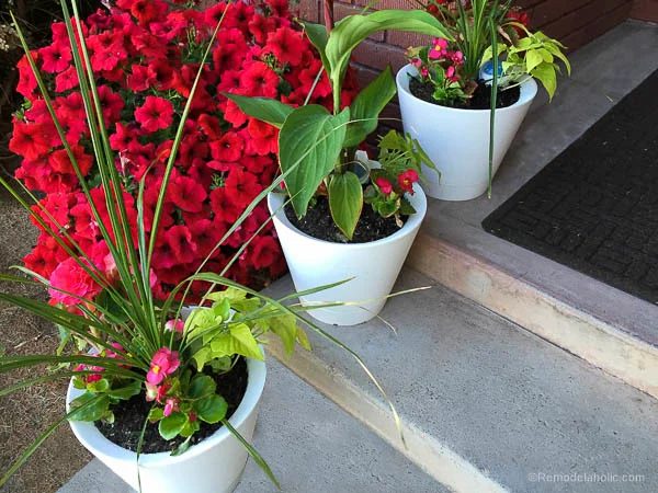 Nimbus Pot Self Watering pots @Bekob-2