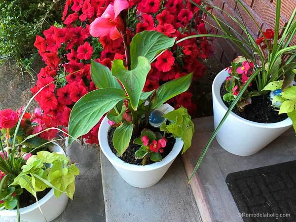 Nimbus Pot Self Watering pots @Bekob-7