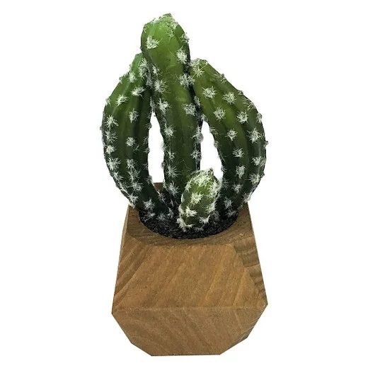 Shabby Chic Mid Century Plant03