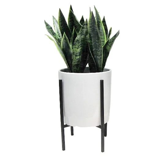 Shabby Chic Mid Century Plant