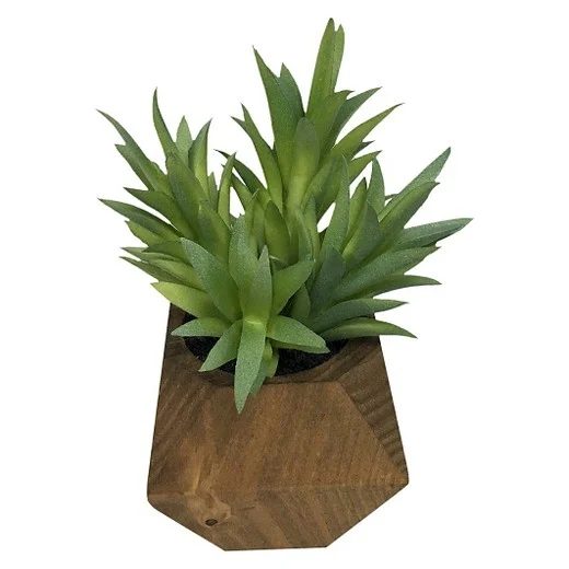 Shabby Chic Mid Century Plant01