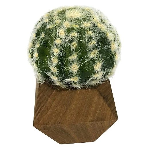 Shabby Chic Mid Century Plant02