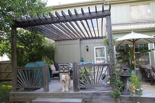 direct Pergola With Rafters, Before Shade Cloth Sails Anything Pretty On Bekob