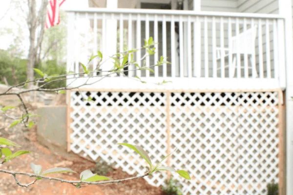 Handmade Climbing Rose Trellis Along a Concrete Porch