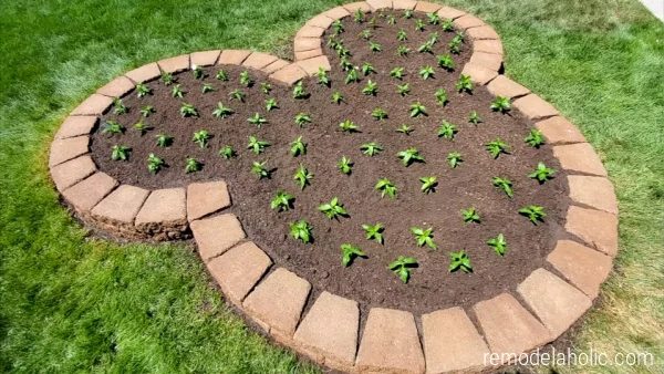 Diy Mickey Flower Bed For Home Landscaping #Bekob