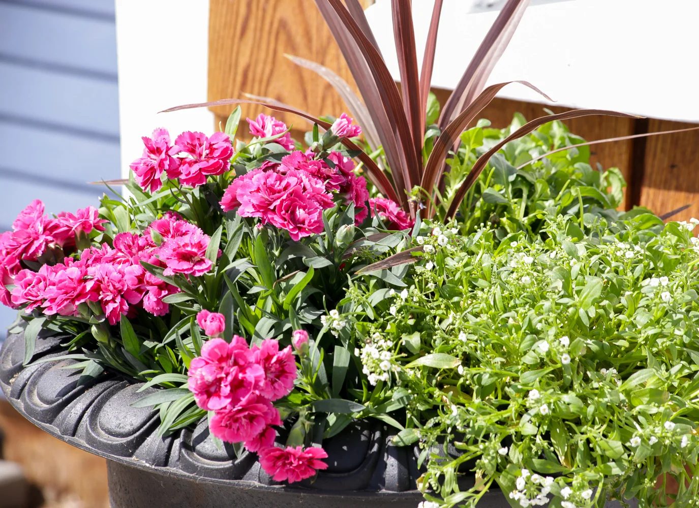 Create striking Outdoor Pots and Planters
