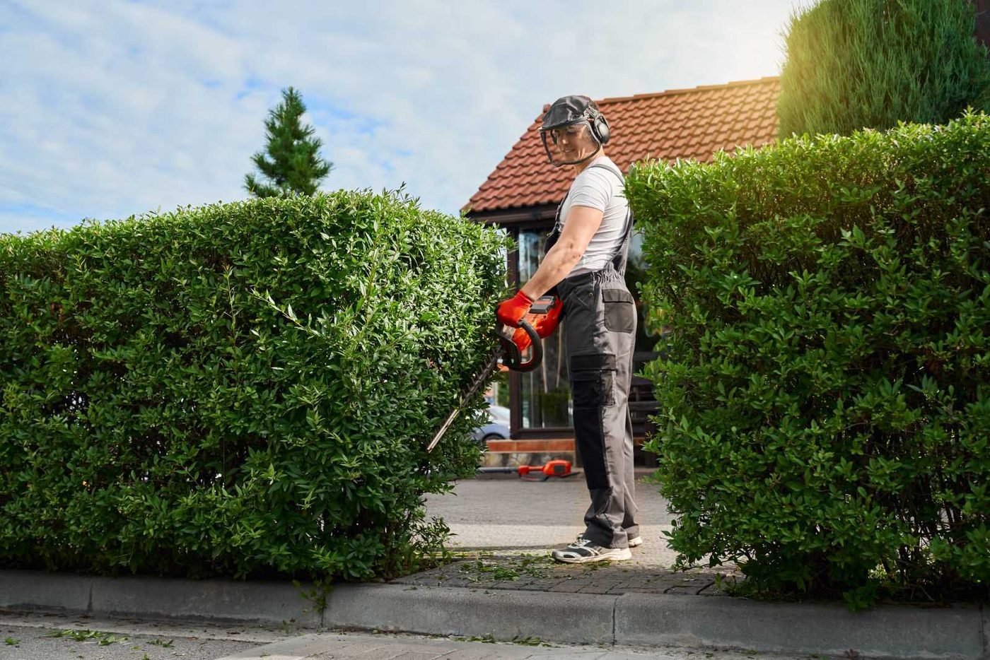 Yard Care Man