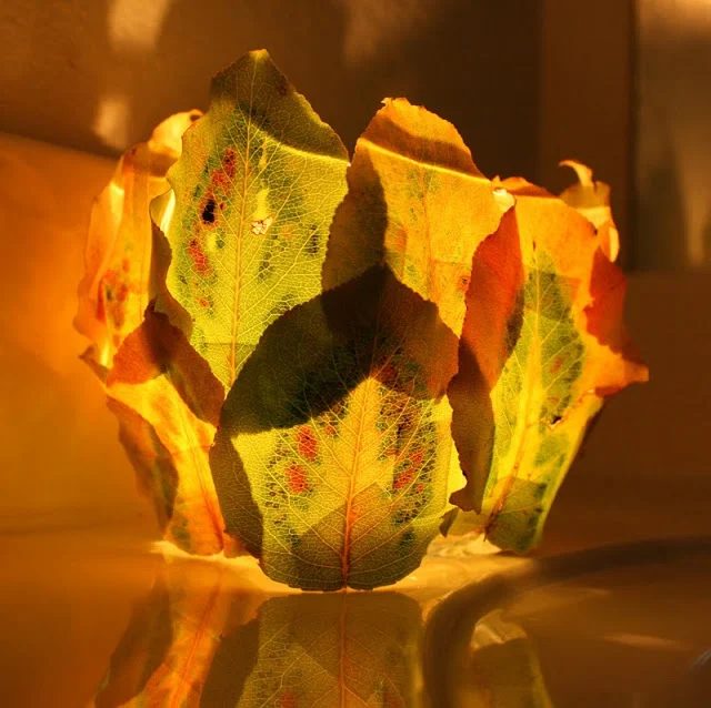 Some Leftovers; Thanksgiving Decor options