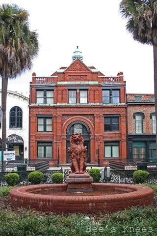 savannah