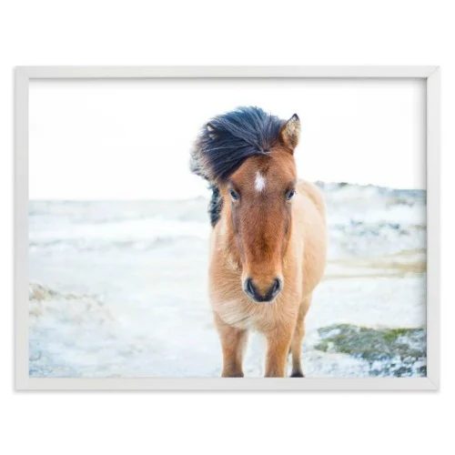 Southwestern Midcentury Horse Art