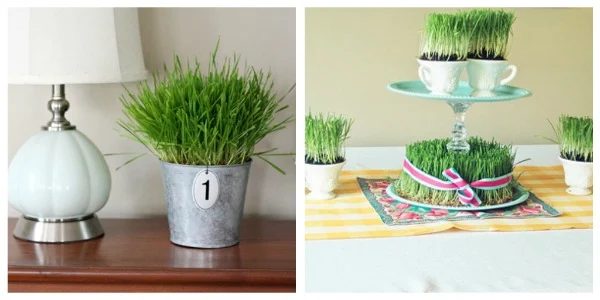 Spring Decor Inspiration from Mother Nature